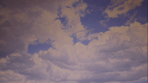 night_and_day_final_image